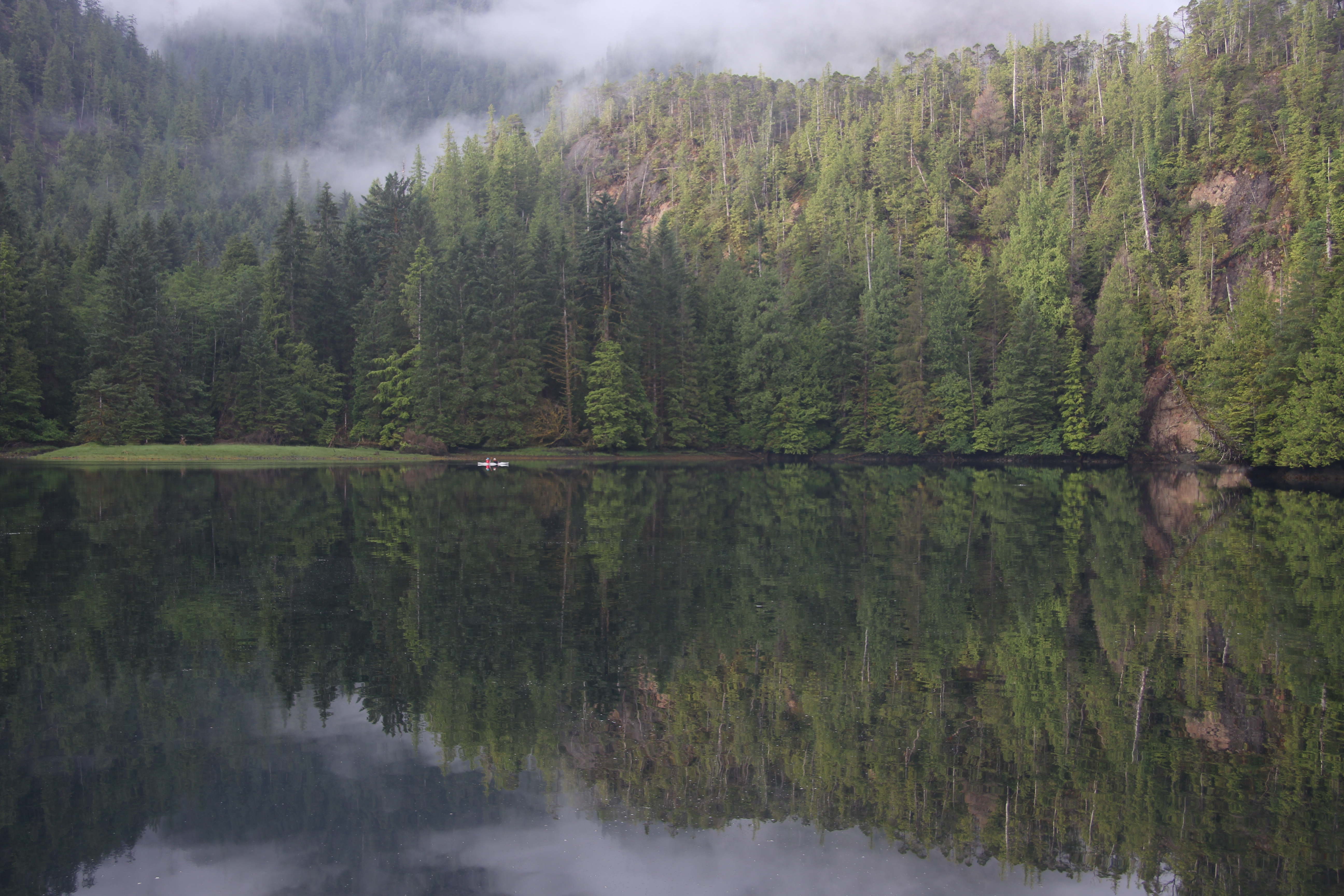 Home - Great Bear Rainforest Education and Awareness Trust