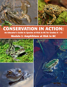 Conservation In Action: Module 2 Grades 8 – 12