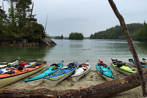 Kayaks lined up along during a shore in the Great Bear Rainforest outer islands kayak expedition